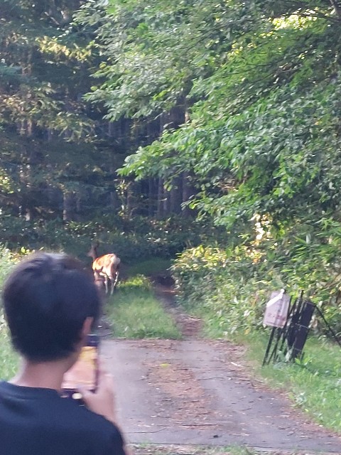 f:id:takehiroakamar:20230907234643j:image f:id:takehiroakamar:20230907234643j:image