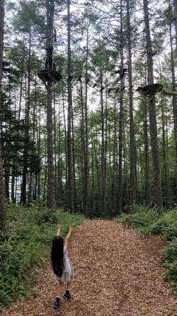 f:id:takehiroakamar:20230908000401j:image f:id:takehiroakamar:20230908000401j:image