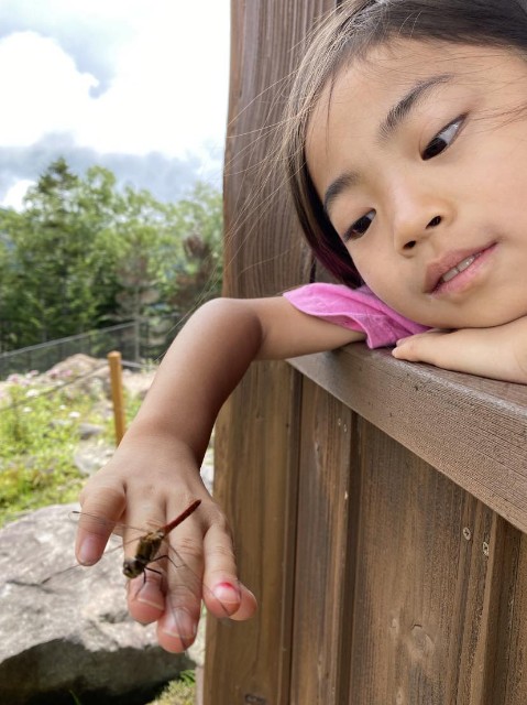 f:id:takehiroakamar:20230908003108j:image f:id:takehiroakamar:20230908003108j:image