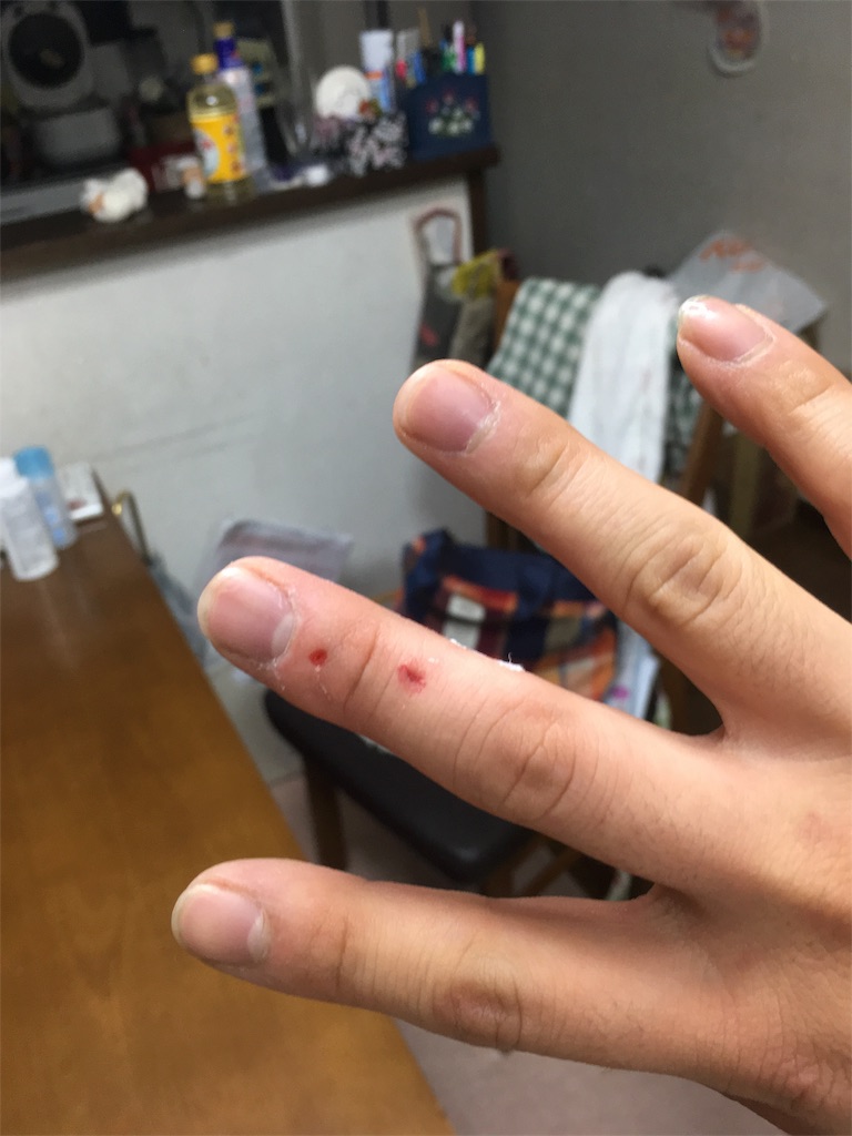 f:id:takehironishiwaki:20180516152159j:image f:id:takehironishiwaki:20180516152159j:image