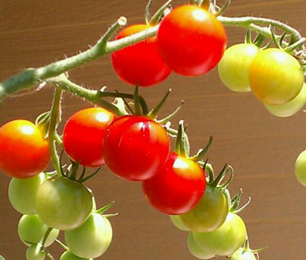 f:id:takekago:20110806104444j:image:w360 f:id:takekago:20110806104444j:image:w360