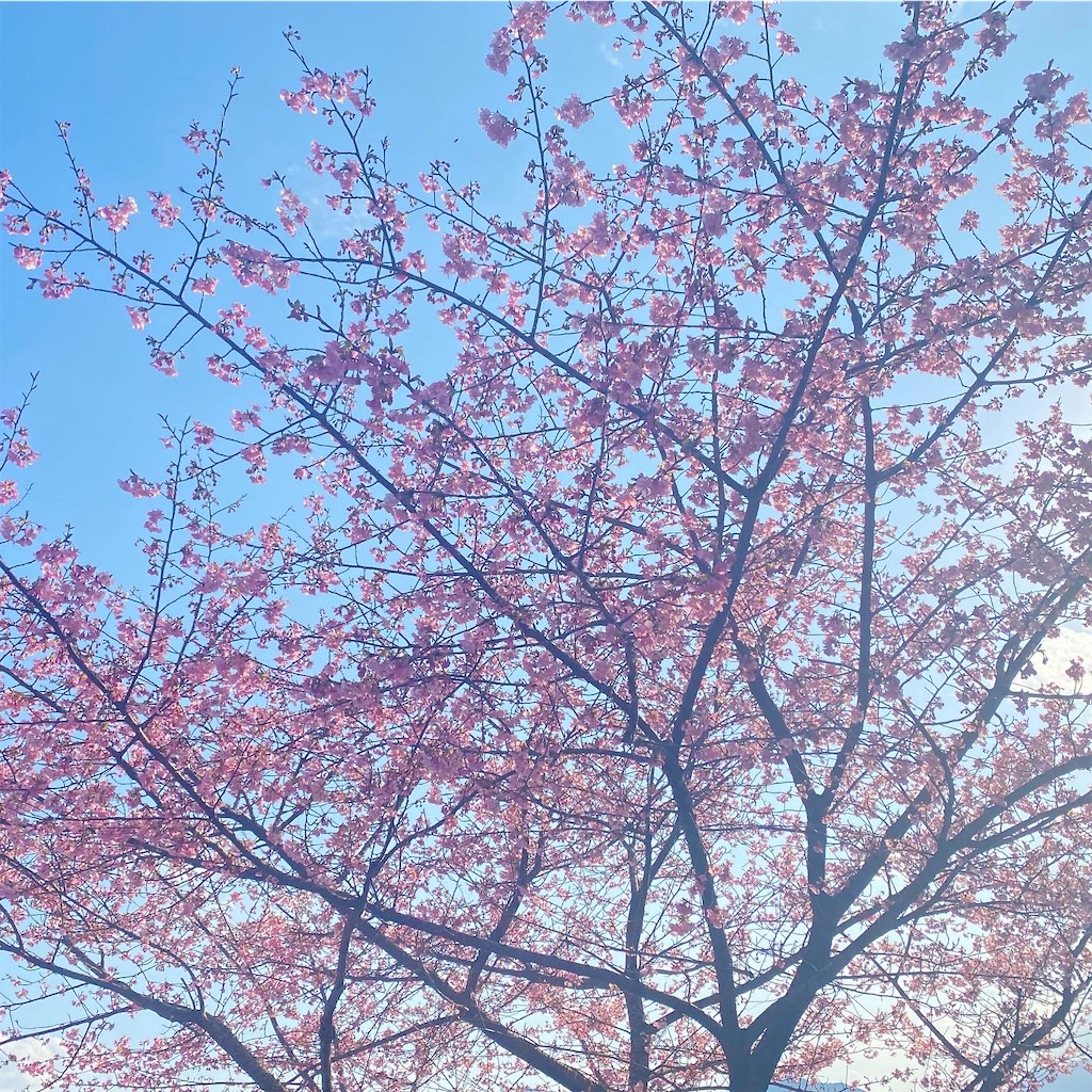 f:id:takeken831:20210213195541j:image