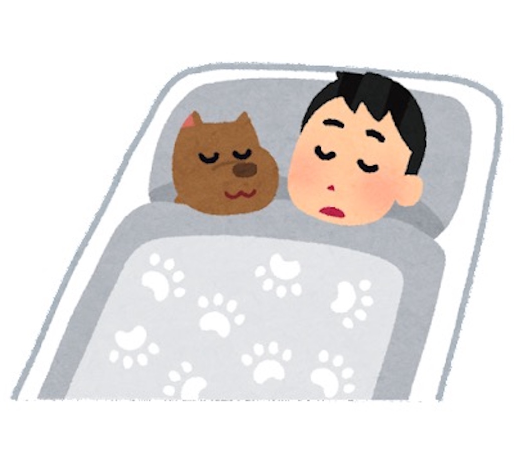 f:id:takekinoko0214:20240312090222j:image
