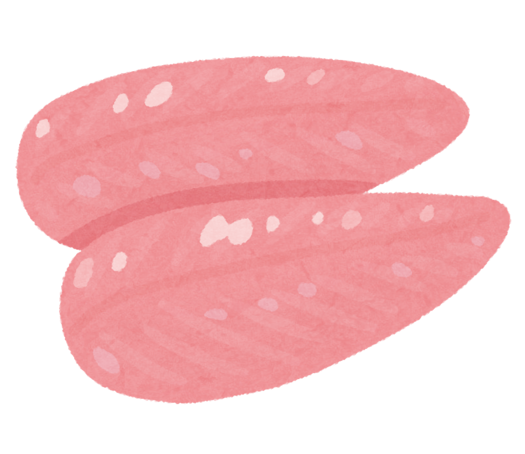 f:id:takekinoko0214:20240313134414p:image