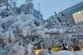 川越の雪風景　2018年1月22日　