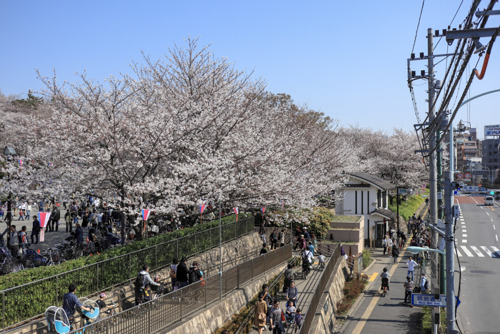 f:id:takemako:20180326122826j:plain f:id:takemako:20180326122826j:plain