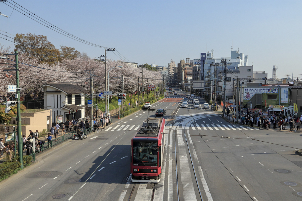 f:id:takemako:20180326122914j:plain f:id:takemako:20180326122914j:plain