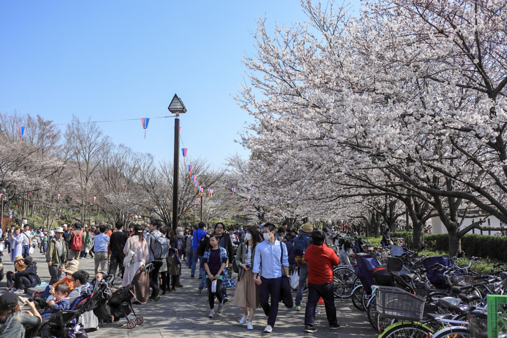 f:id:takemako:20180326123028j:plain f:id:takemako:20180326123028j:plain
