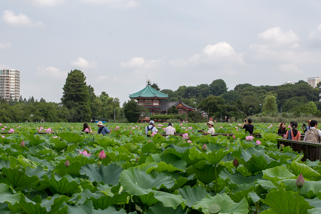 f:id:takemako:20180722071146j:plain f:id:takemako:20180722071146j:plain