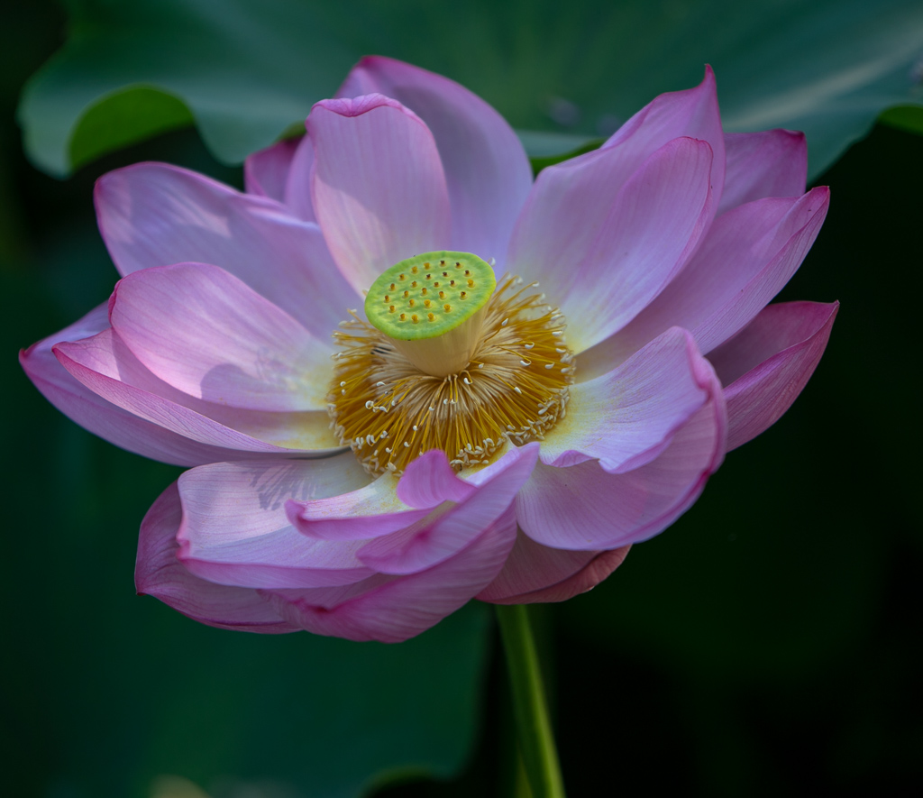 f:id:takemako:20180722072229j:plain f:id:takemako:20180722072229j:plain