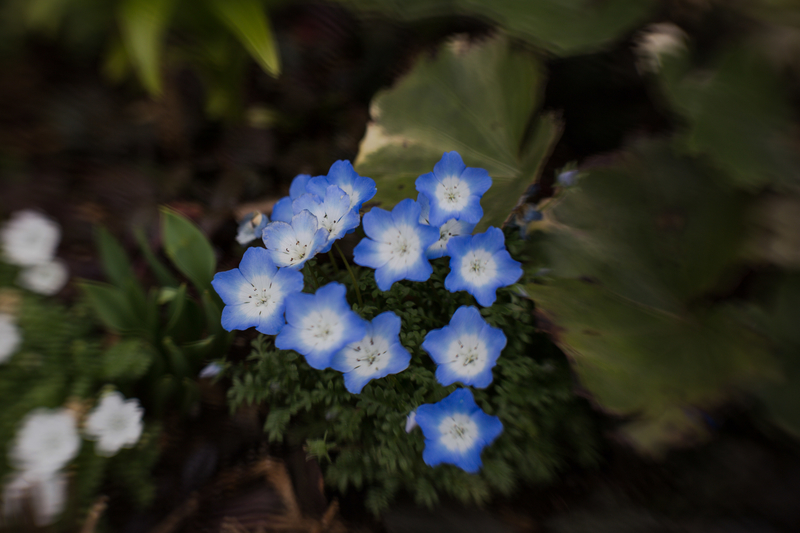 f:id:takemako:20190310152211j:plain f:id:takemako:20190310152211j:plain