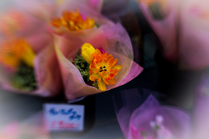 f:id:takemako:20190310152231j:plain f:id:takemako:20190310152231j:plain