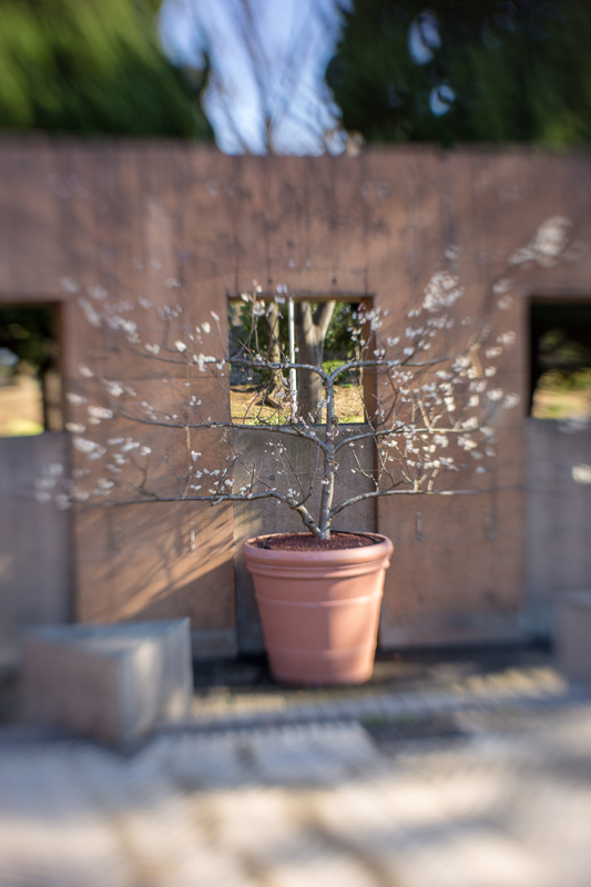 f:id:takemako:20190310152529j:plain f:id:takemako:20190310152529j:plain