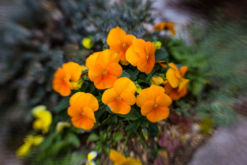 f:id:takemako:20190310152612j:plain f:id:takemako:20190310152612j:plain