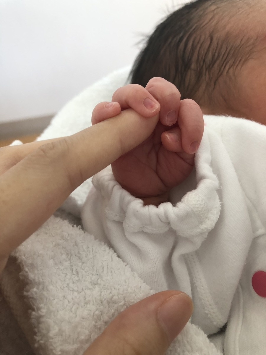 f:id:takemama:20190531153722j:plain f:id:takemama:20190531153722j:plain