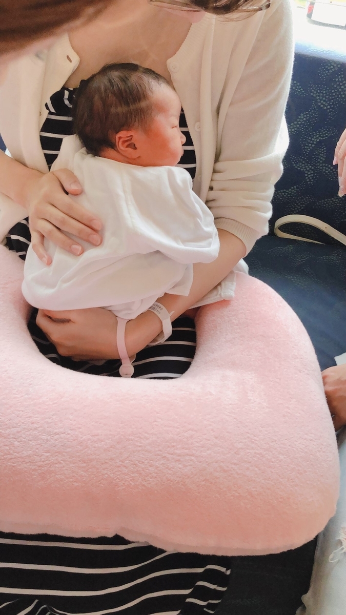 f:id:takemama:20190603105329j:plain f:id:takemama:20190603105329j:plain