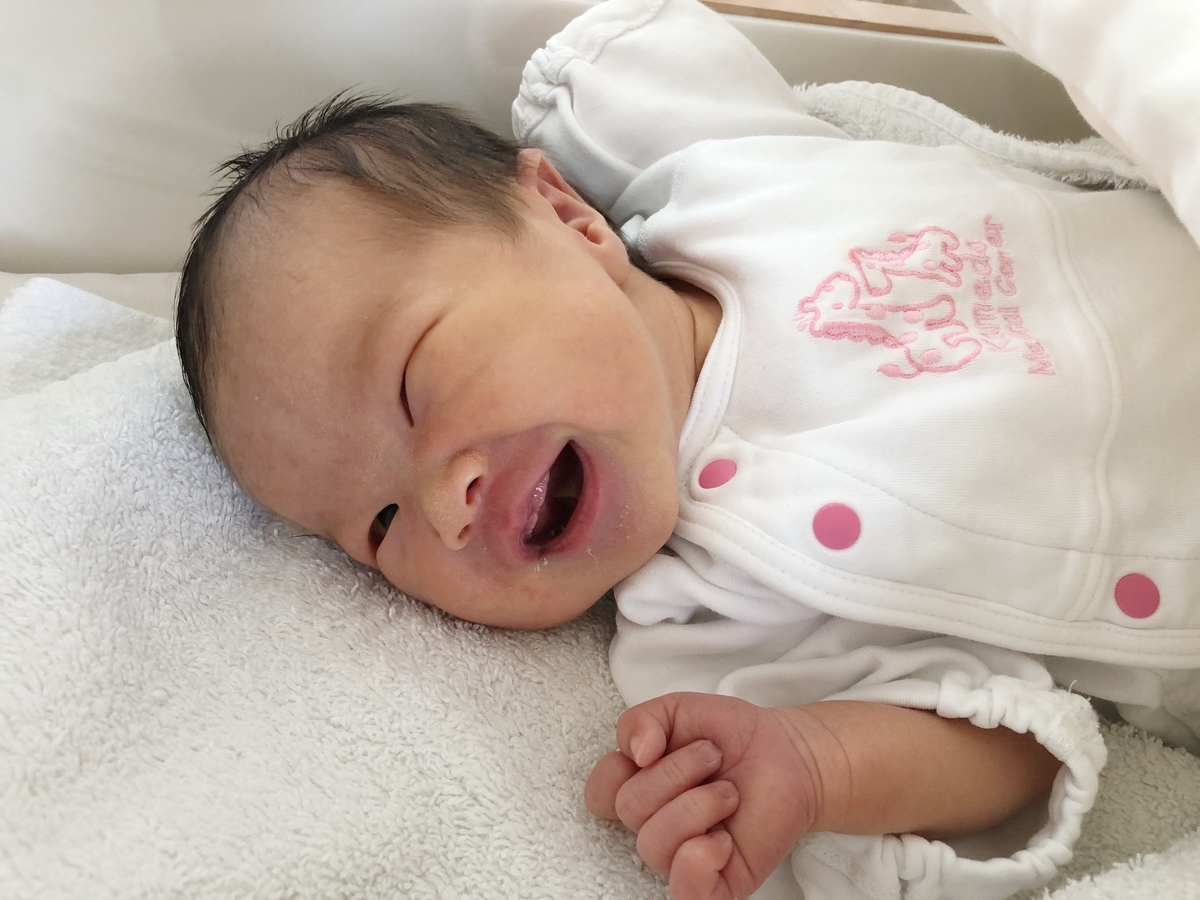 f:id:takemama:20190604063817j:plain f:id:takemama:20190604063817j:plain