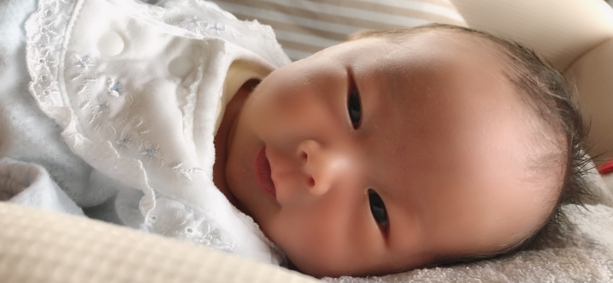 f:id:takemama:20190613185349j:plain f:id:takemama:20190613185349j:plain