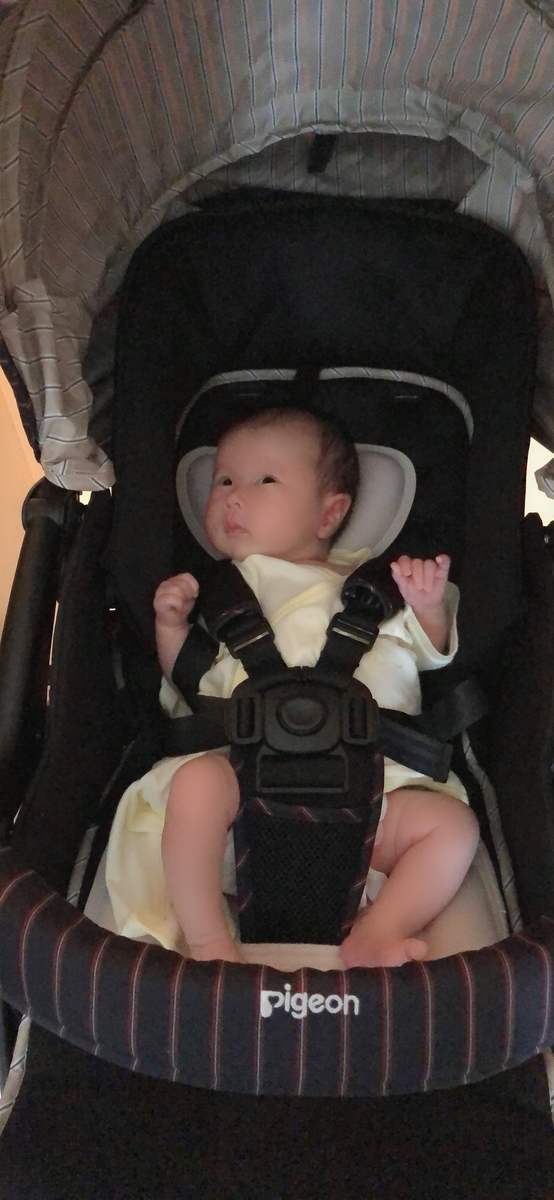 f:id:takemama:20190621180844j:plain f:id:takemama:20190621180844j:plain