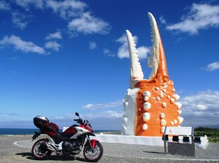 イメージ 15