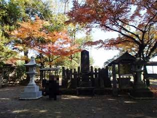 イメージ 10