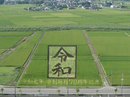 イメージ 4
