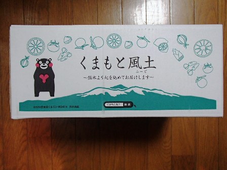f:id:takeman0908:20201210090302j:plain