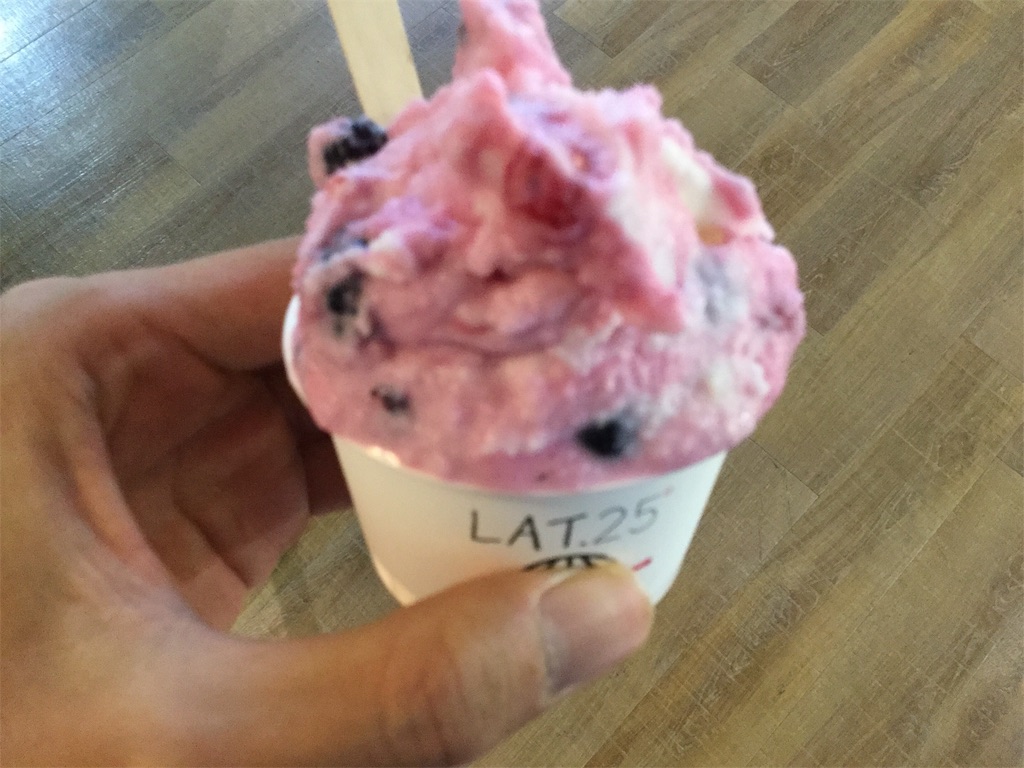 f:id:takemaru-yamasaki:20190125224404j:image