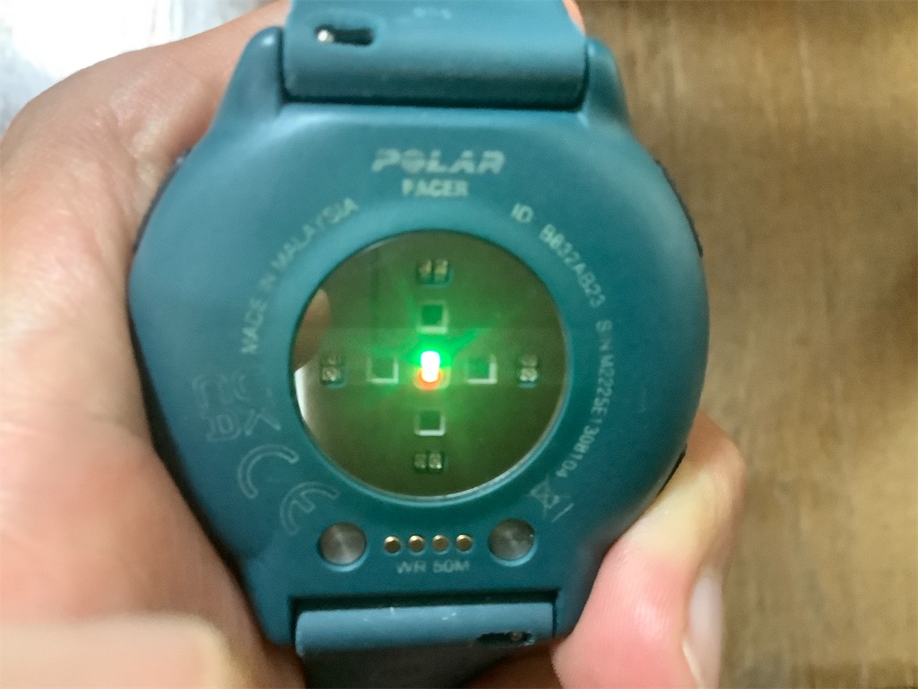 POLAR Polar Pacer ポラール ペーサー 最高傑作】Polar Pacer(ポラールペーサー)を紹介 - まる