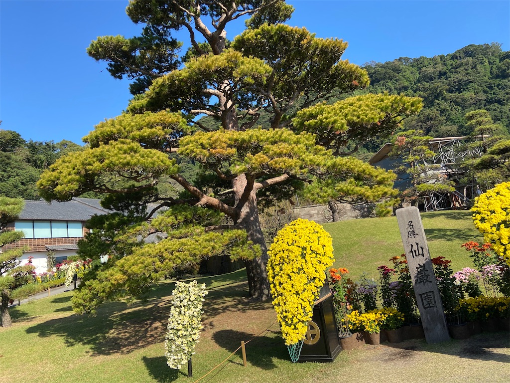 f:id:takemaru-yamasaki:20241203230114j:image