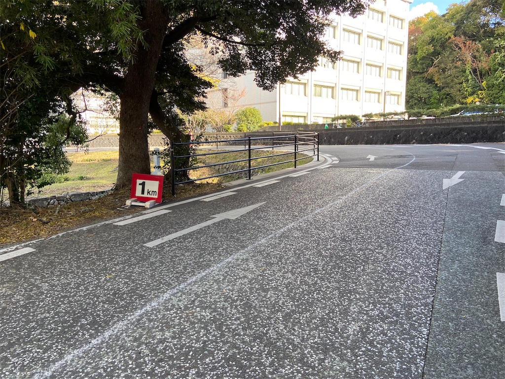 f:id:takemaru-yamasaki:20241210095152j:image