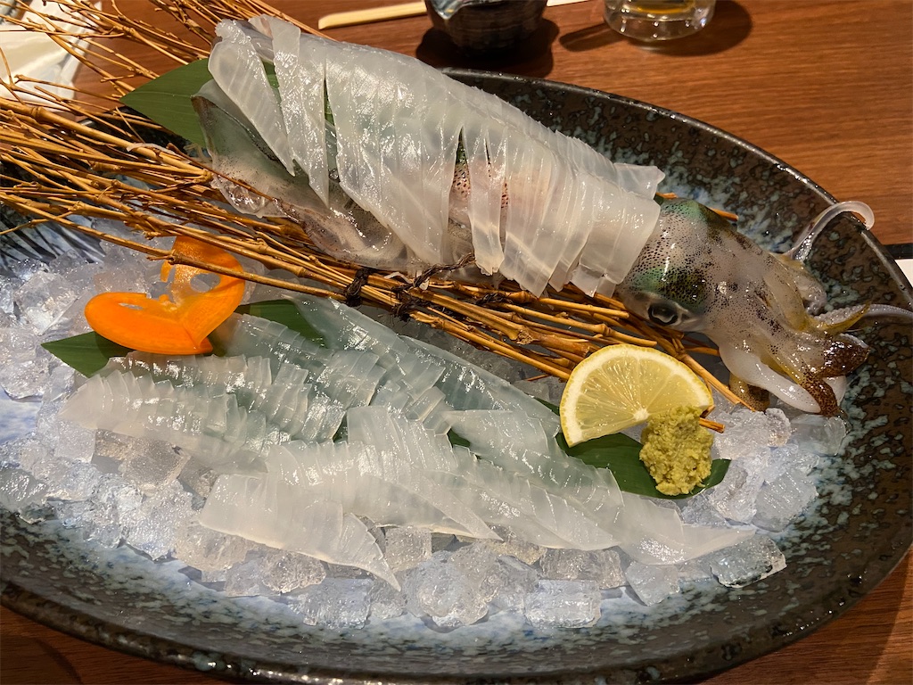 f:id:takemaru-yamasaki:20241210095339j:image