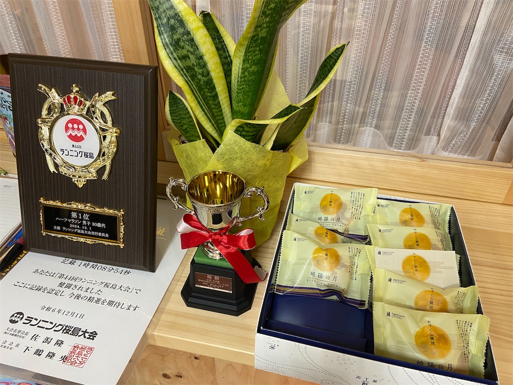 f:id:takemaru-yamasaki:20241210234220j:image