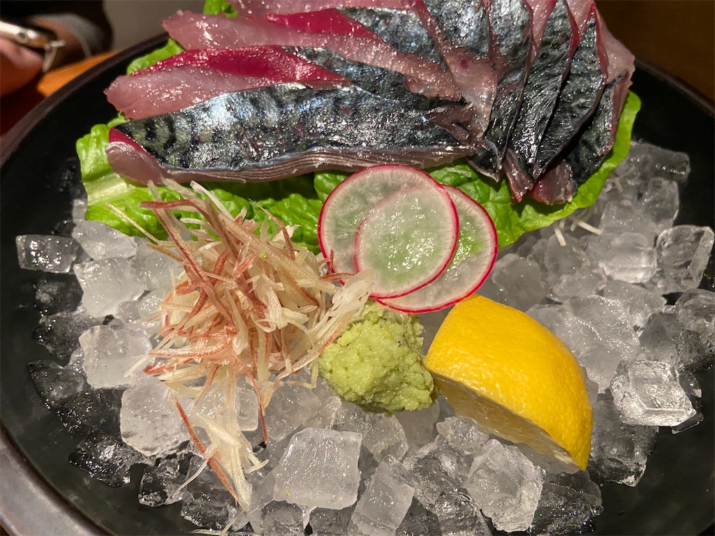 f:id:takemaru-yamasaki:20250416223452j:image