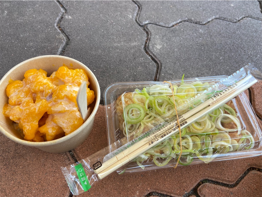 f:id:takemaru-yamasaki:20250501172934j:image