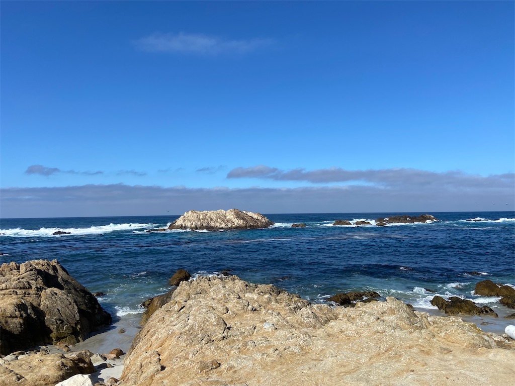 f:id:takemaru-yamasaki:20251010093453j:image f:id:takemaru-yamasaki:20251010093453j:image