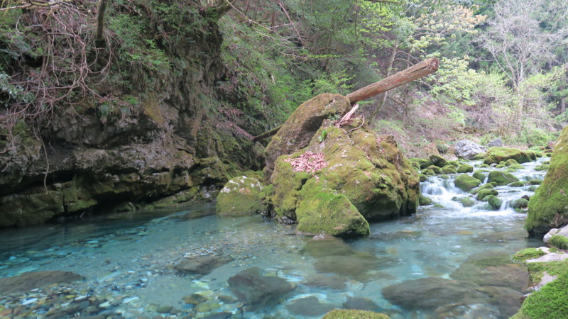 f:id:takemaru2018:20180414183930j:plain