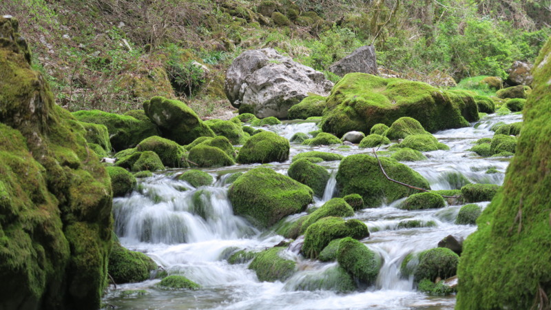 f:id:takemaru2018:20180414183931j:plain