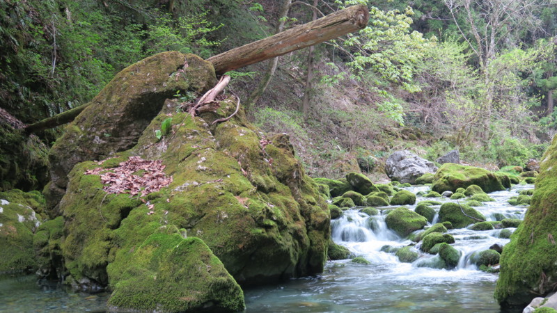 f:id:takemaru2018:20180414183932j:plain