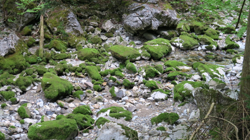 f:id:takemaru2018:20180414183941j:plain