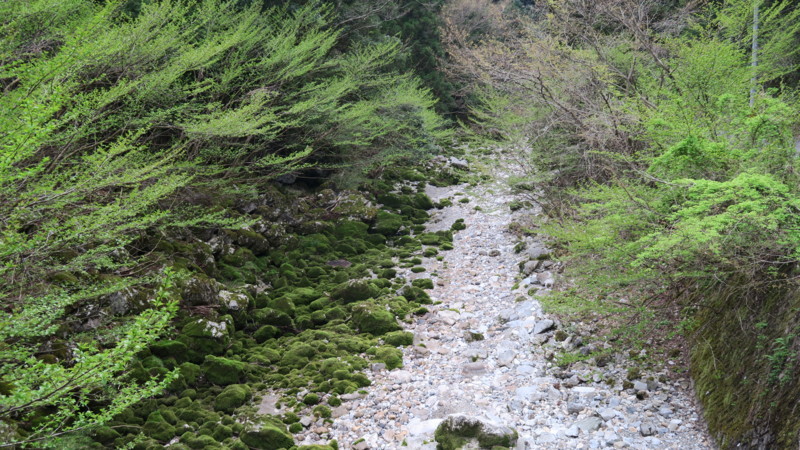 f:id:takemaru2018:20180414183942j:plain