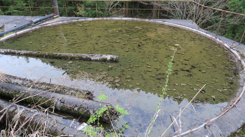 f:id:takemaru2018:20180414183946j:plain