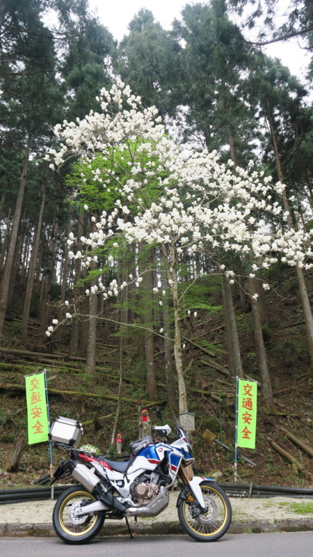 f:id:takemaru2018:20180414183947j:plain