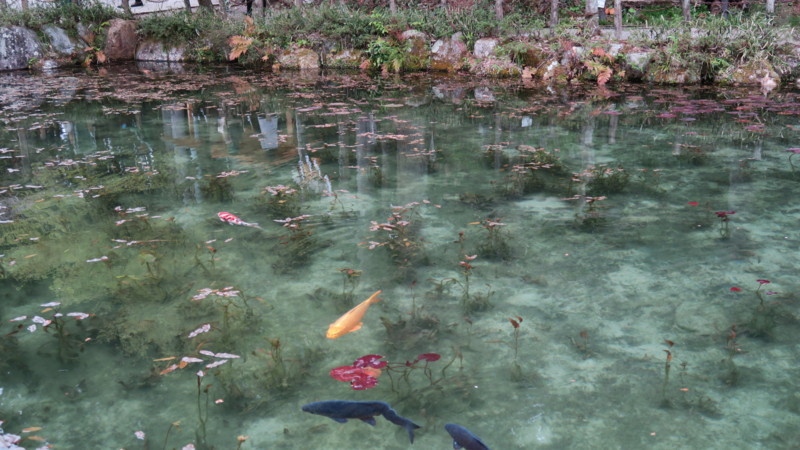 f:id:takemaru2018:20180414183949j:plain