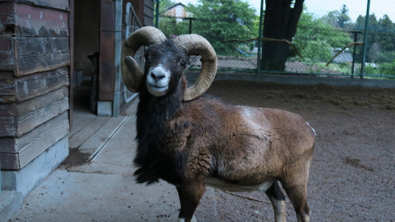 f:id:takemaru2018:20180506002359j:plain