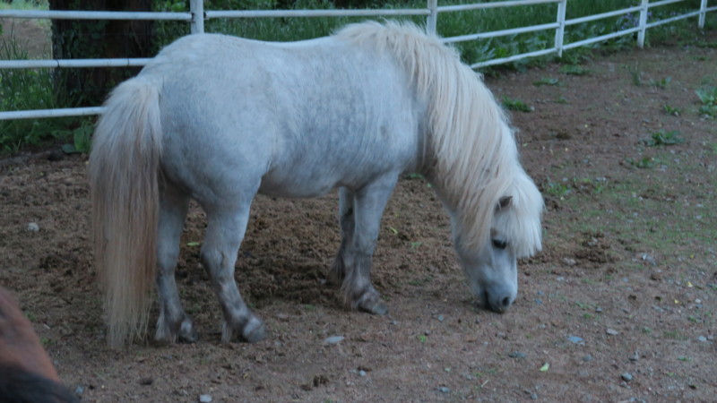 f:id:takemaru2018:20180506002402j:plain