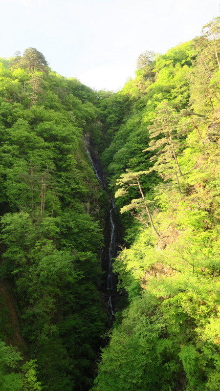 f:id:takemaru2018:20180506002407j:plain