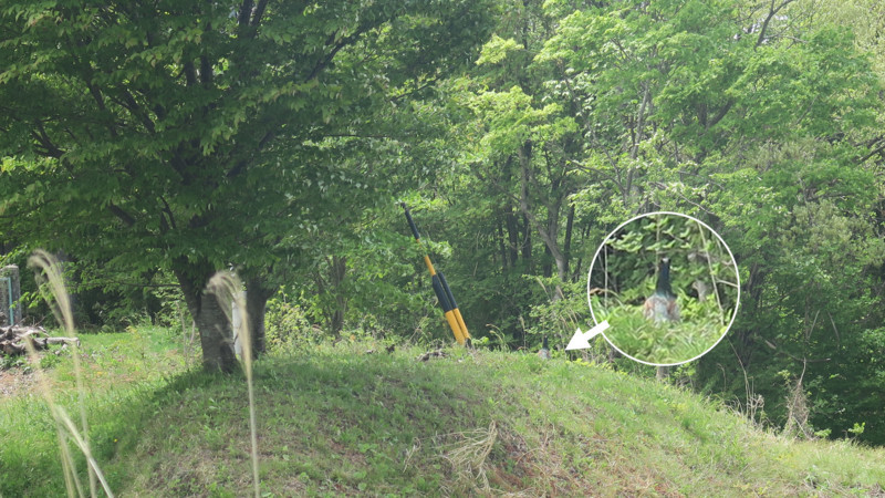 f:id:takemaru2018:20180506002431j:plain