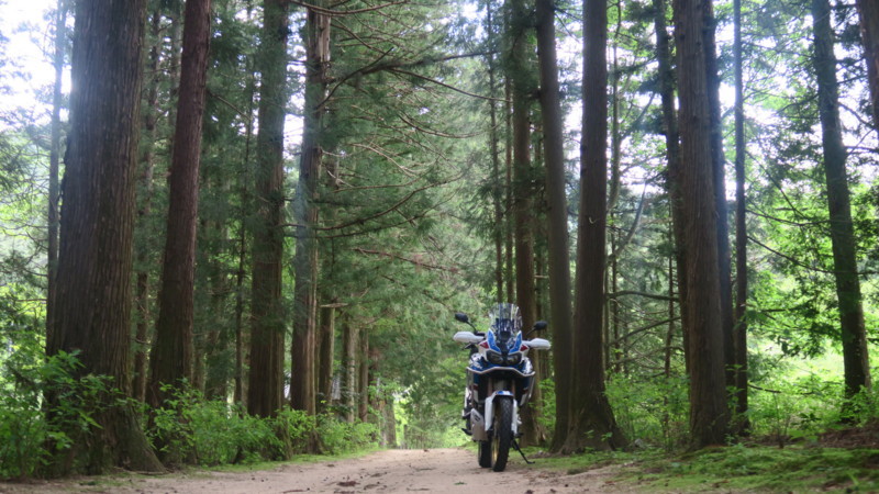 f:id:takemaru2018:20180506002440j:plain