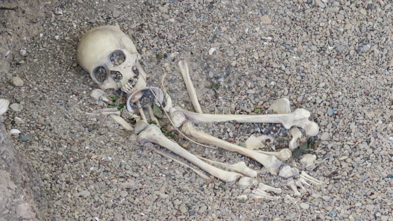 f:id:takemaru2018:20180520194656j:plain